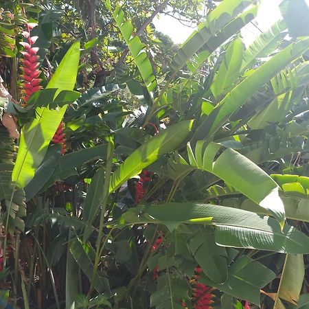 Logement Entier Au Soleil Couchant デエエ エクステリア 写真