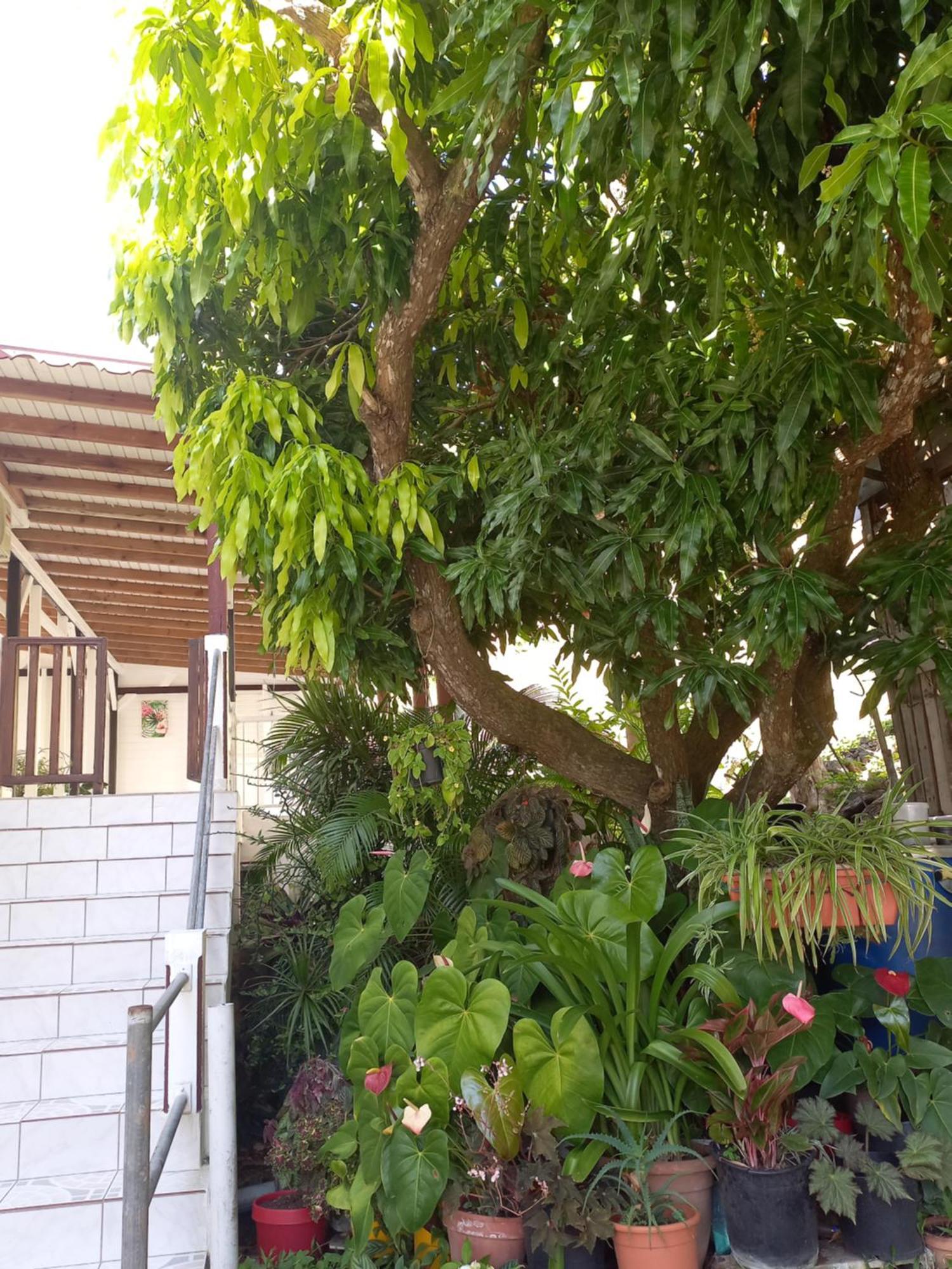 Logement Entier Au Soleil Couchant デエエ エクステリア 写真